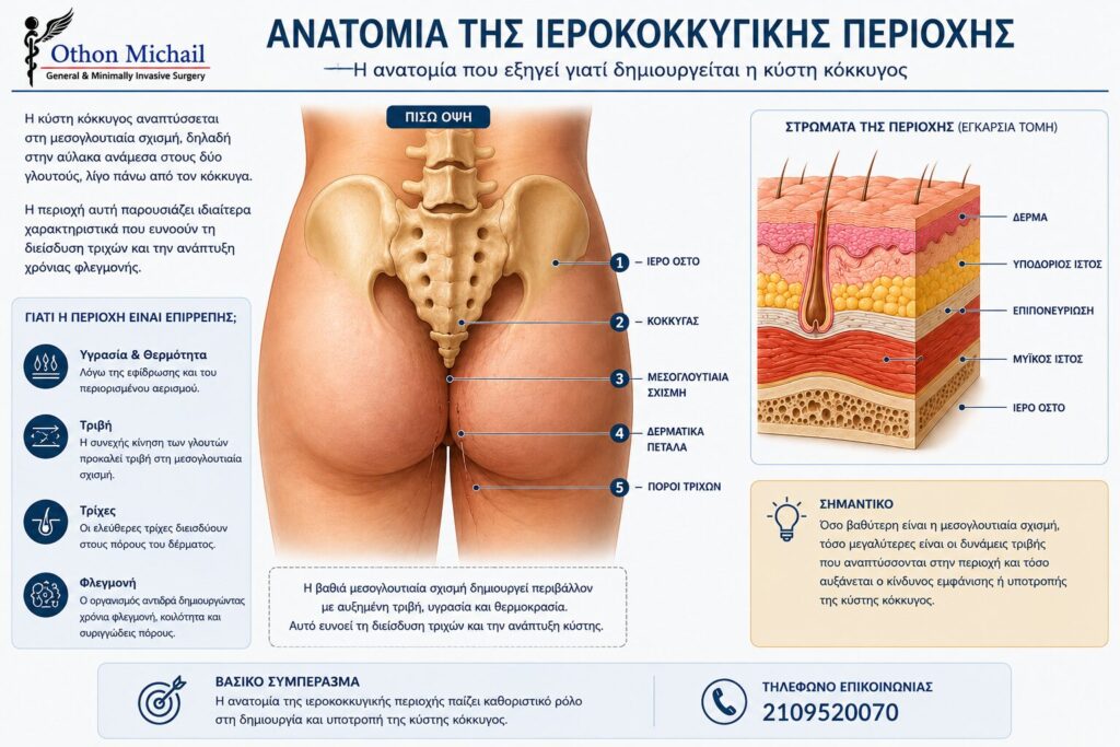 Ανατομία της ιεροκοκκυγικής περιοχής και δημιουργία της κύστης κόκκυγος