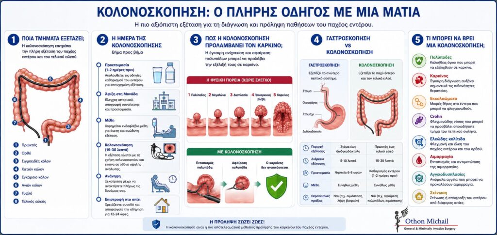 Infographic για την κολονοσκόπηση που παρουσιάζει τα τμήματα του παχέος εντέρου, τα στάδια της εξέτασης, τον ρόλο της στην πρόληψη του καρκίνου του παχέος εντέρου, τη σύγκριση με τη γαστροσκόπηση και τις συχνότερες παθήσεις που διαγιγνώσκονται.