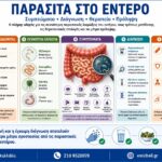 Παράσιτα στο Έντερο: Συμπτώματα, Διάγνωση, Θεραπεία και Πρόληψη Παράσιτα στο έντερο με πληροφορίες για τους τρόπους μετάδοσης, τα συχνότερα παράσιτα, τα συμπτώματα, τη διάγνωση, τη θεραπεία και την πρόληψη.
